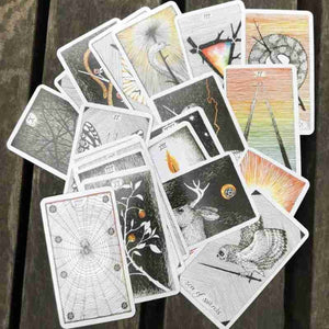 The Wild Unknown Tarot Cards