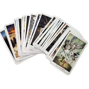 Wildwood Tarot Cards